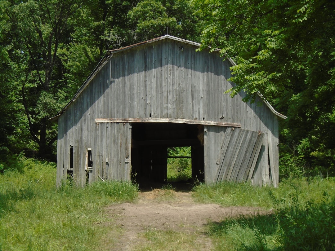 Photo Barn, doors